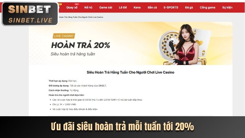 Hoàn trả casino Sinbet